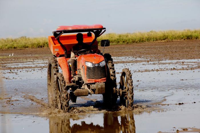 Measures facilitating participation of Cubans abroad in the national economy