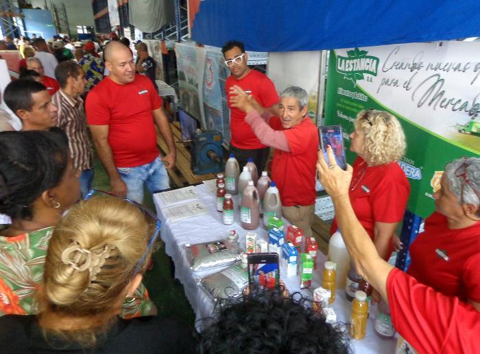 Solutions Cuba: A Space for Perseverance