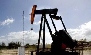 While the oil industry develops measures are taken to protect the environment. 