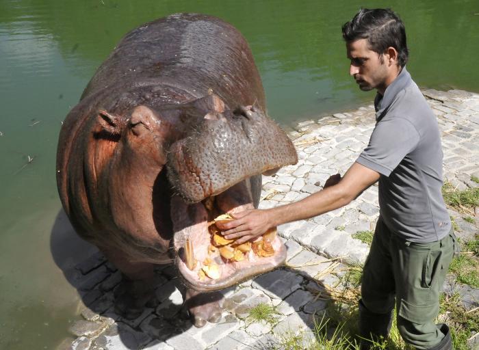 zoologico