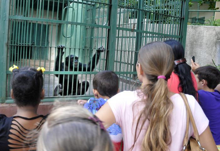 zoologico
