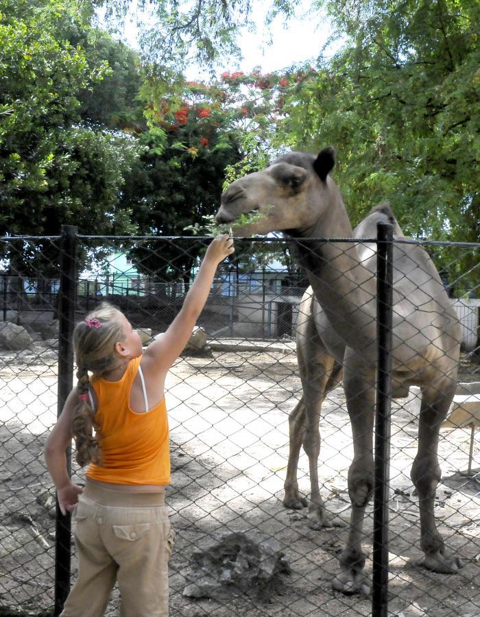 zoologico