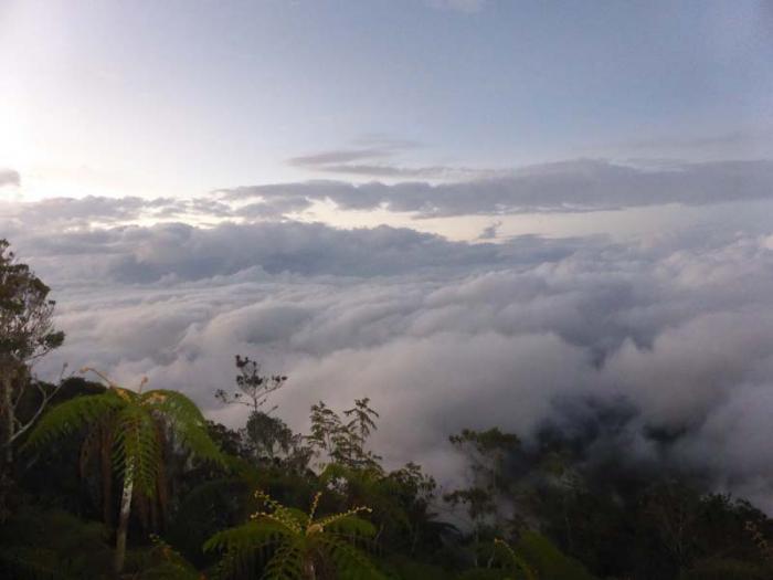 View from Pico Turquino (highest peak in Cuba), Turquino Nacional Park, Santiago de Cuba