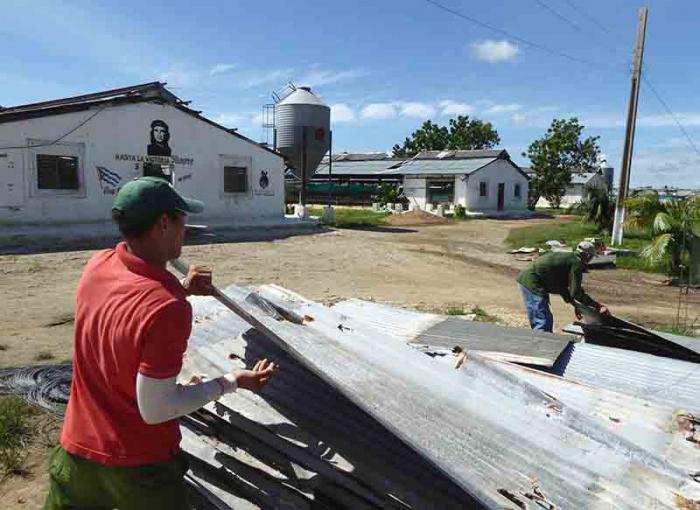 Workers immediately set about collecting for reuse the roofing sheets that the winds ripped off.
