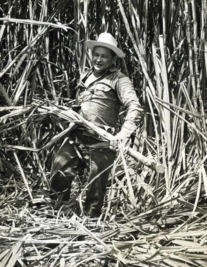 Guillermo García Frías undertaking voluntary work.