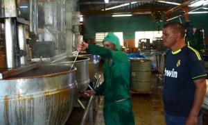 The Los Pinos mini-processing plant produces the best guava paste distributed by Ceballos, and possibly the best in Cuba.