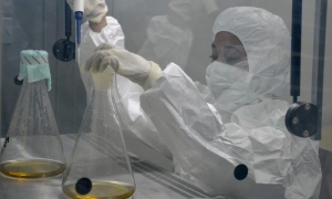 Unesco recognizes the role of Cuban women in science.