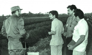 fidel